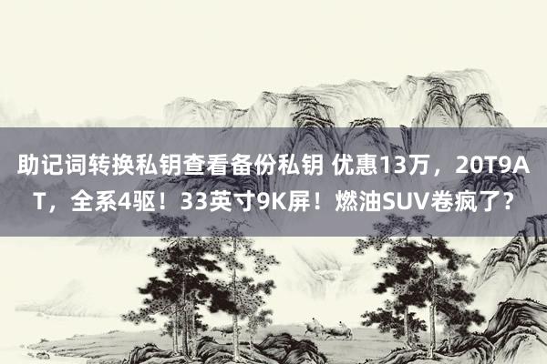 助记词转换私钥查看备份私钥 优惠13万，20T9AT，全系4驱！33英寸9K屏！燃油SUV卷疯了？